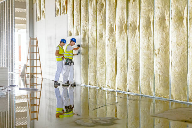 Best Insulation for New Construction  in Youngwood, PA